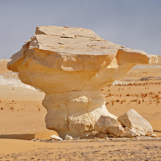 New White Desert